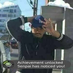 Meet your Posher, Alex